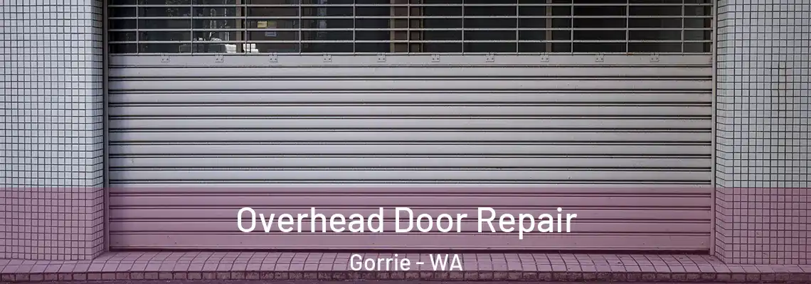  Overhead Door Repair Gorrie - WA
