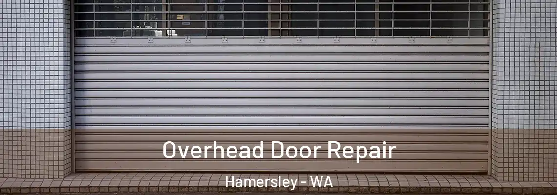  Overhead Door Repair Hamersley - WA