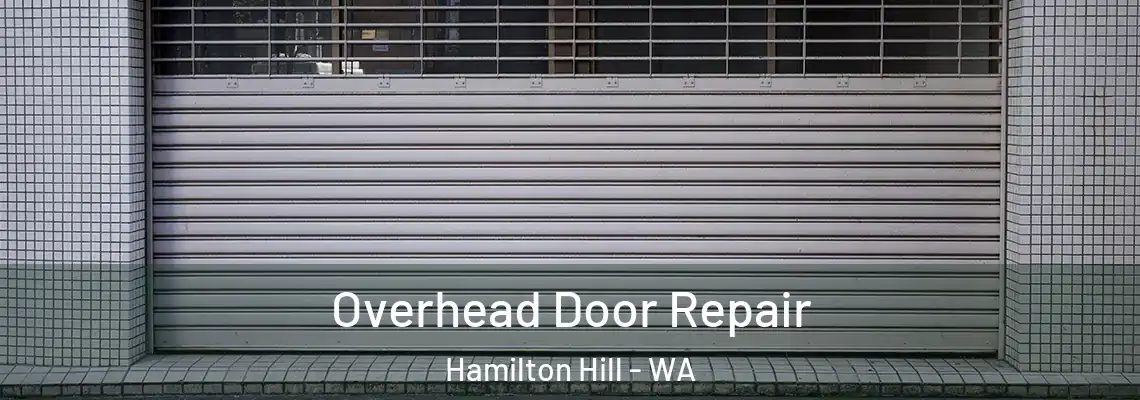  Overhead Door Repair Hamilton Hill - WA