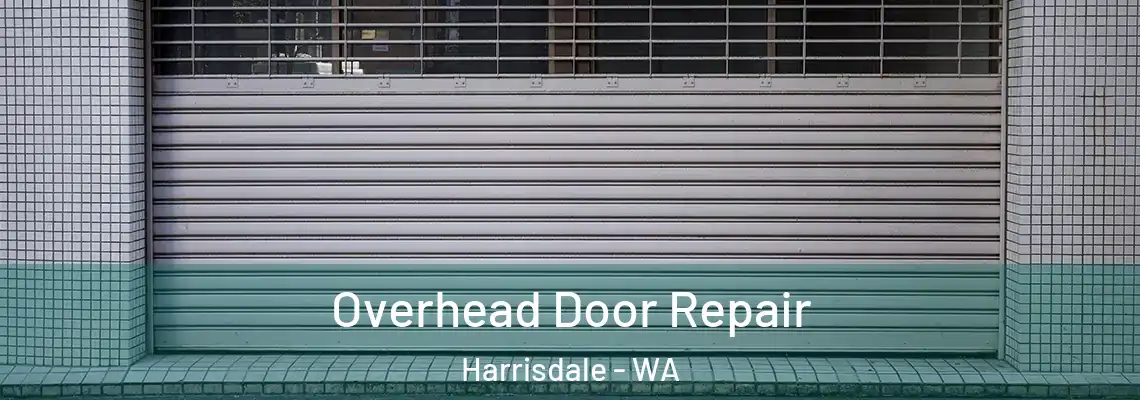 Overhead Door Repair Harrisdale - WA