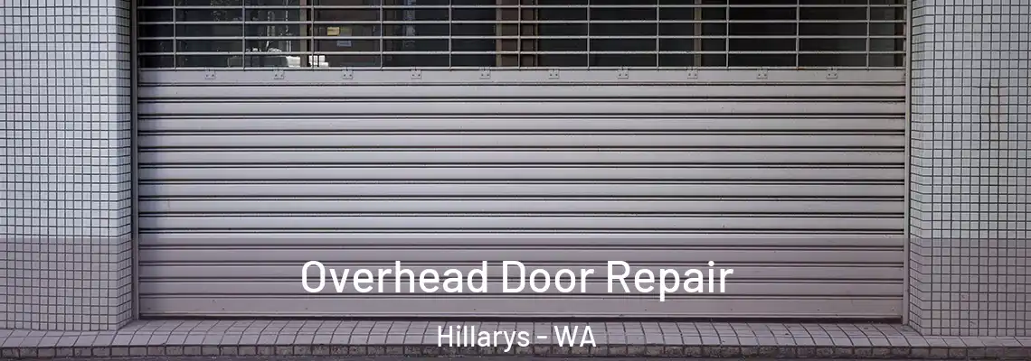  Overhead Door Repair Hillarys - WA
