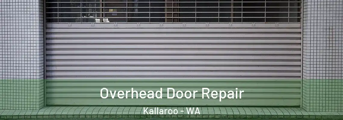 Overhead Door Repair Kallaroo - WA