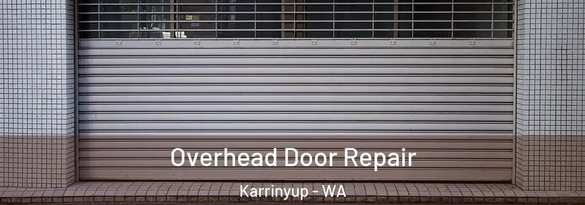  Overhead Door Repair Karrinyup - WA
