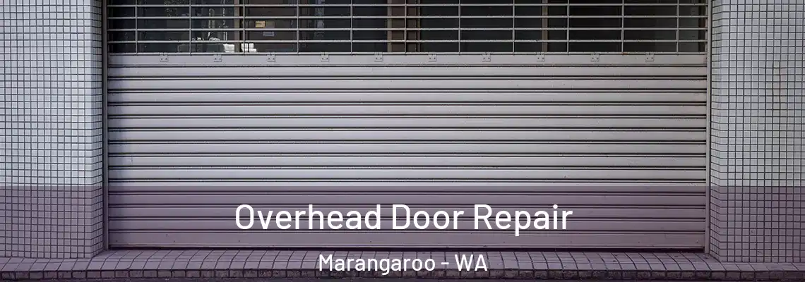  Overhead Door Repair Marangaroo - WA