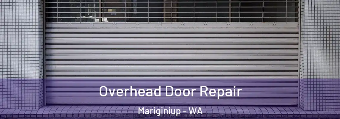  Overhead Door Repair Mariginiup - WA