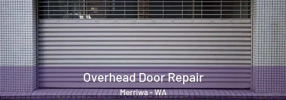 Overhead Door Repair Merriwa - WA