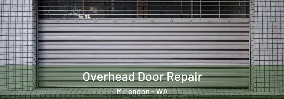  Overhead Door Repair Millendon - WA
