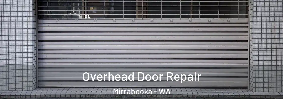 Overhead Door Repair Mirrabooka - WA
