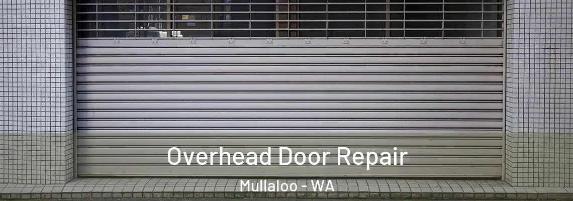  Overhead Door Repair Mullaloo - WA