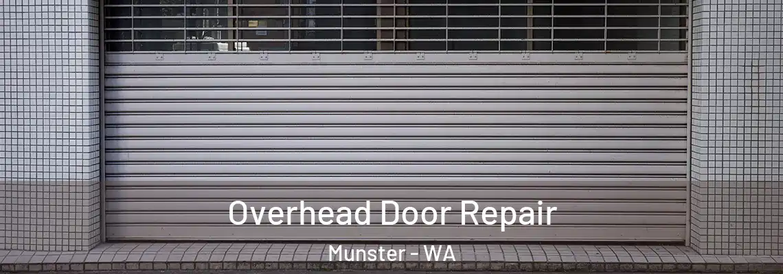  Overhead Door Repair Munster - WA