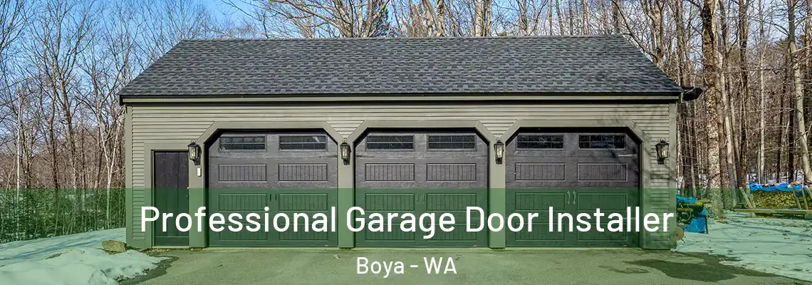  Professional Garage Door Installer Boya - WA