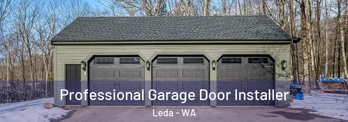  Professional Garage Door Installer Leda - WA