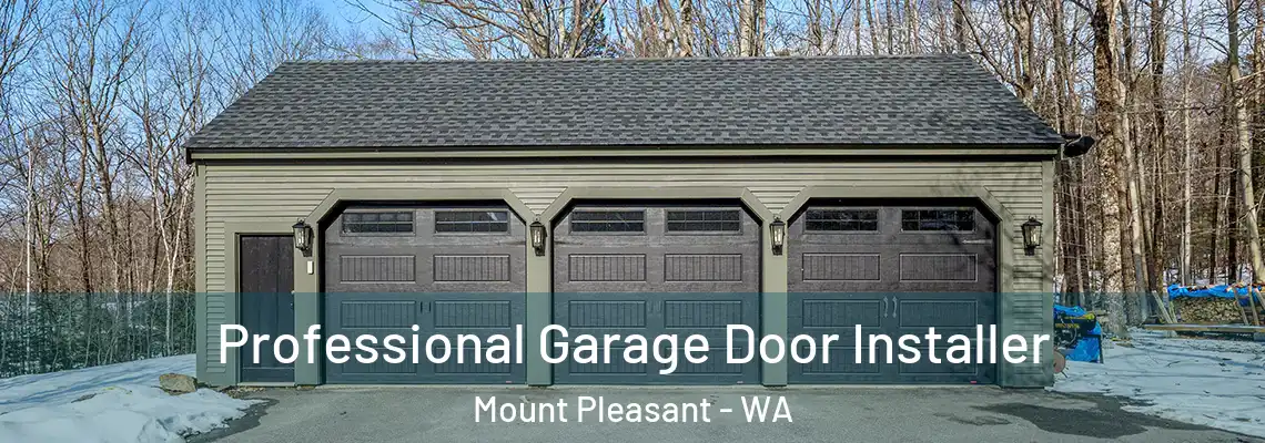  Professional Garage Door Installer Mount Pleasant - WA