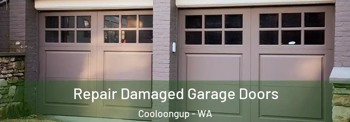 Repair Damaged Garage Doors Cooloongup - WA
