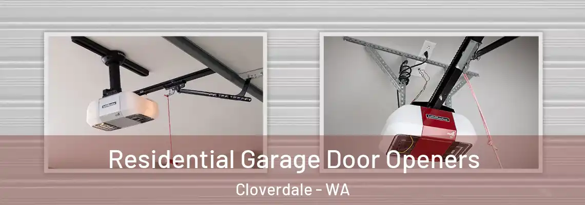  Residential Garage Door Openers Cloverdale - WA
