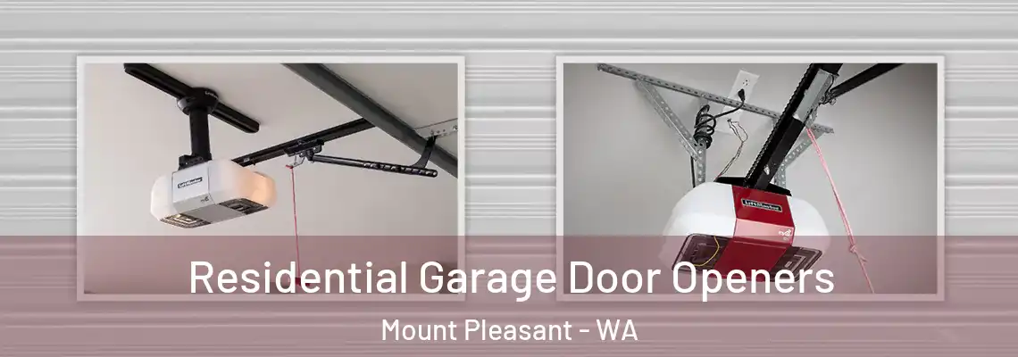  Residential Garage Door Openers Mount Pleasant - WA