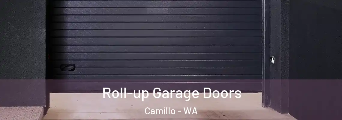  Roll-up Garage Doors Camillo - WA