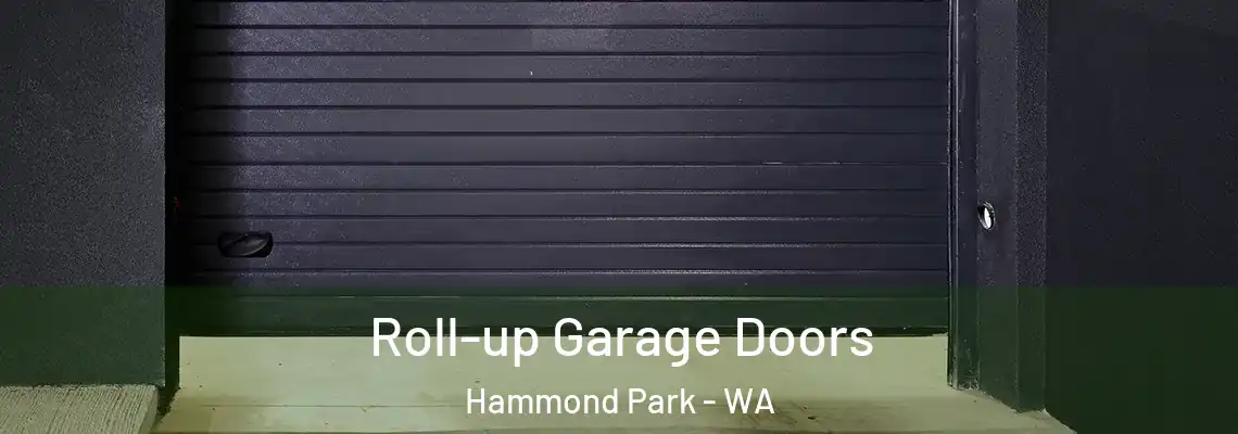  Roll-up Garage Doors Hammond Park - WA