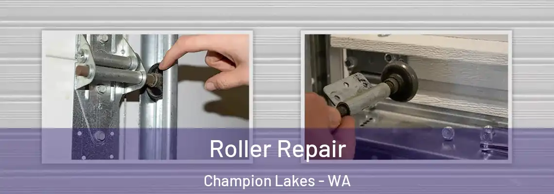  Roller Repair Champion Lakes - WA