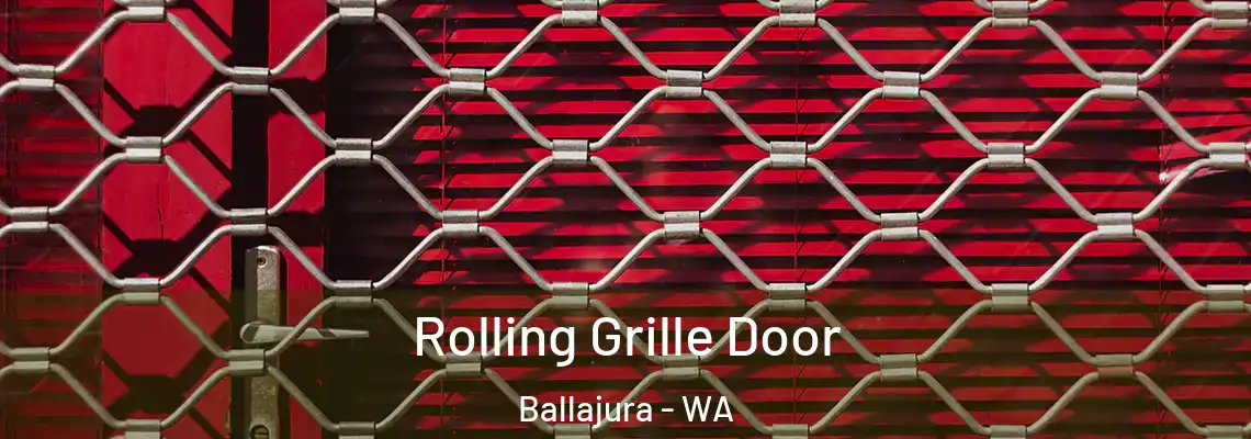  Rolling Grille Door Ballajura - WA