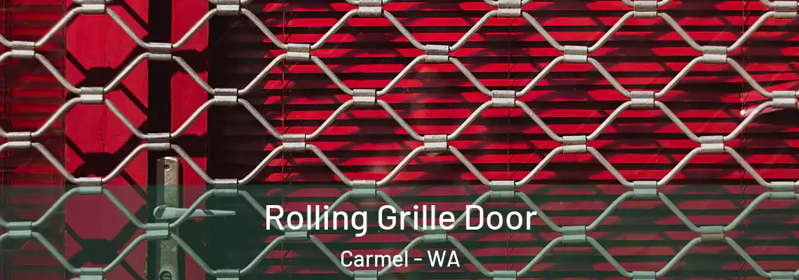  Rolling Grille Door Carmel - WA