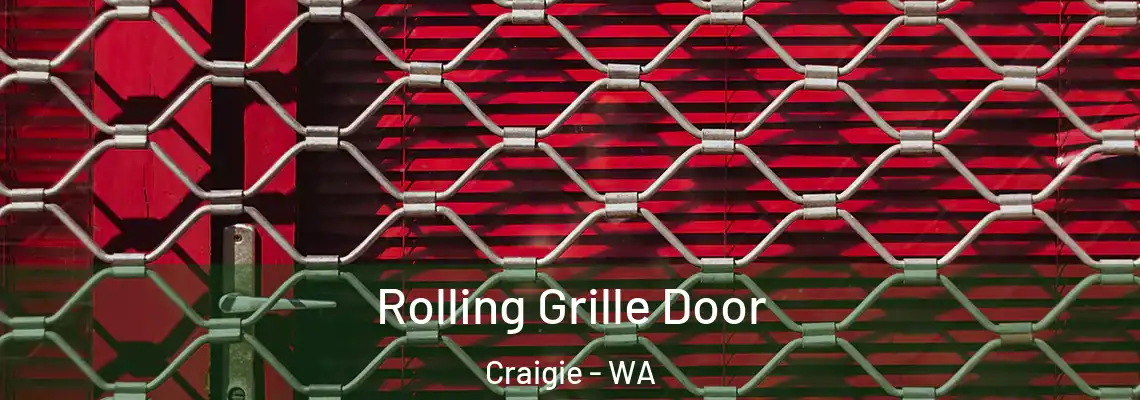  Rolling Grille Door Craigie - WA
