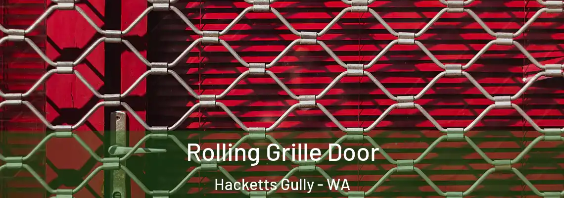  Rolling Grille Door Hacketts Gully - WA
