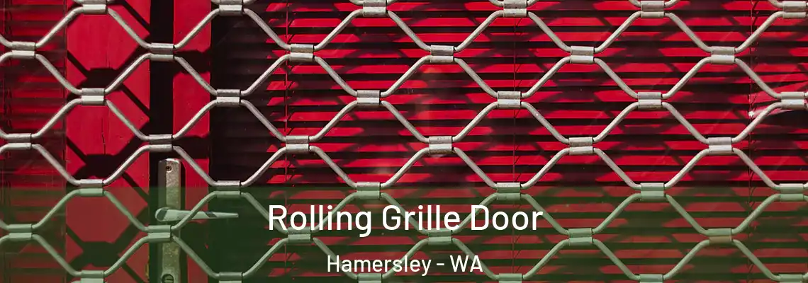  Rolling Grille Door Hamersley - WA