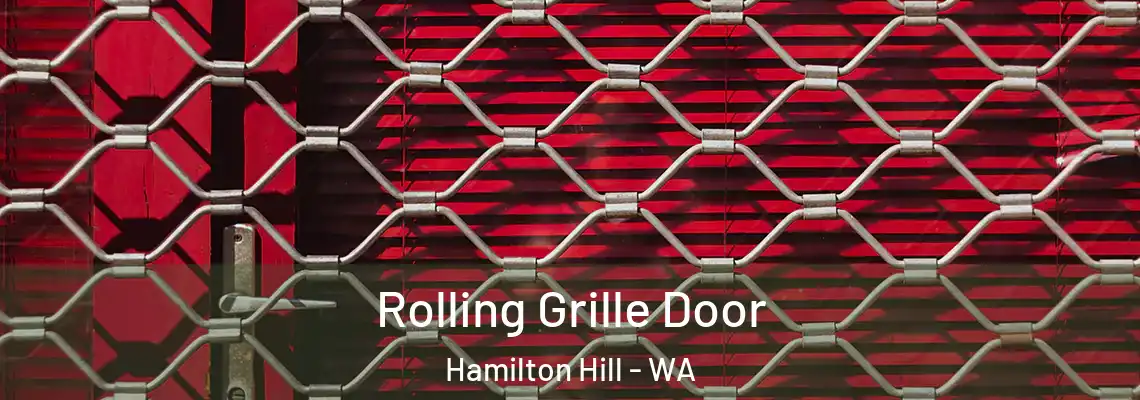  Rolling Grille Door Hamilton Hill - WA