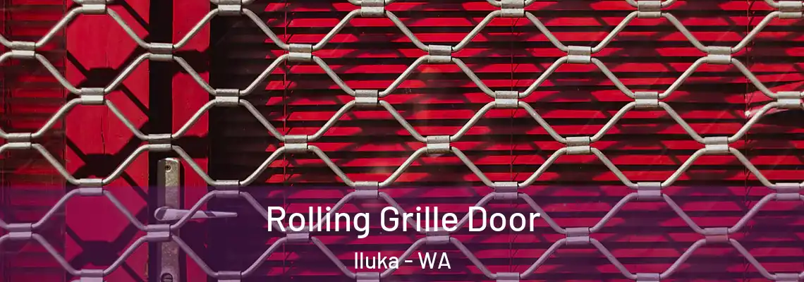  Rolling Grille Door Iluka - WA
