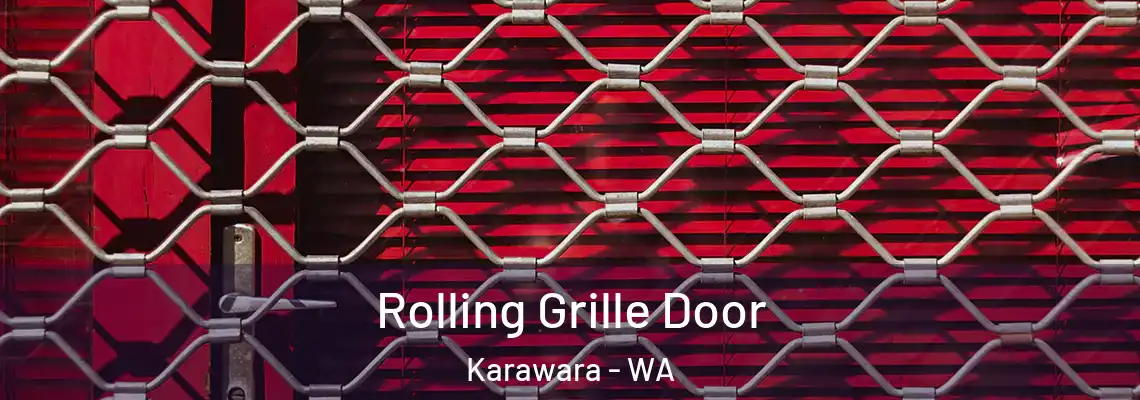  Rolling Grille Door Karawara - WA