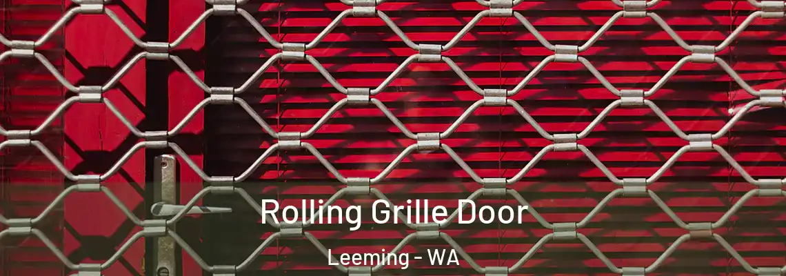  Rolling Grille Door Leeming - WA
