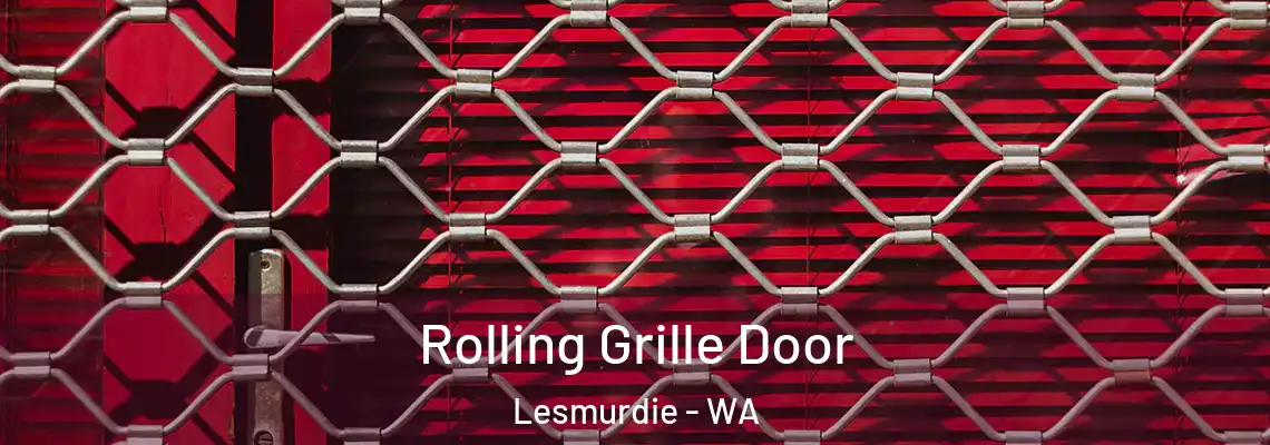  Rolling Grille Door Lesmurdie - WA