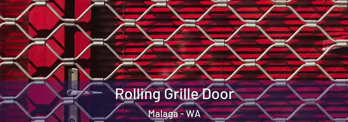  Rolling Grille Door Malaga - WA