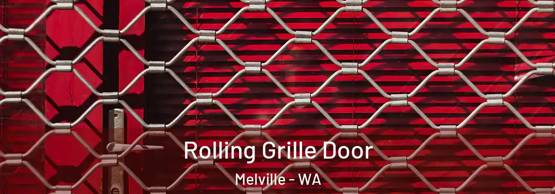  Rolling Grille Door Melville - WA