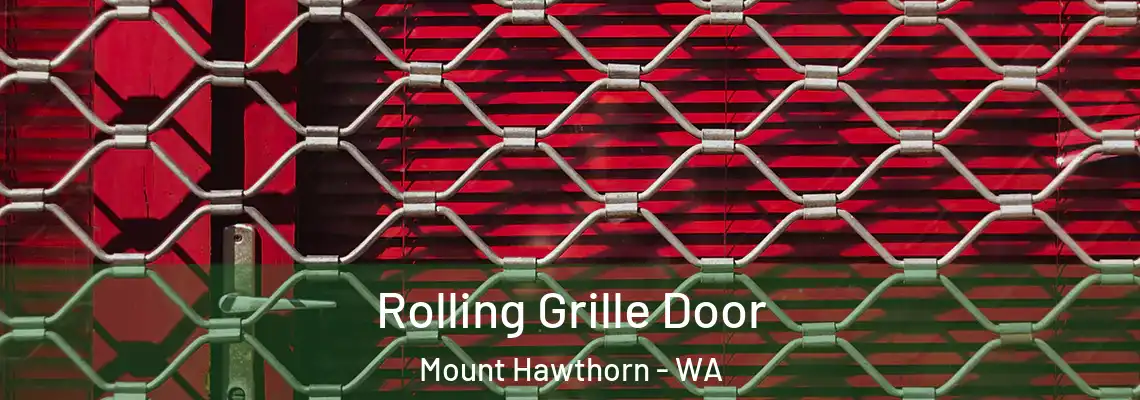  Rolling Grille Door Mount Hawthorn - WA