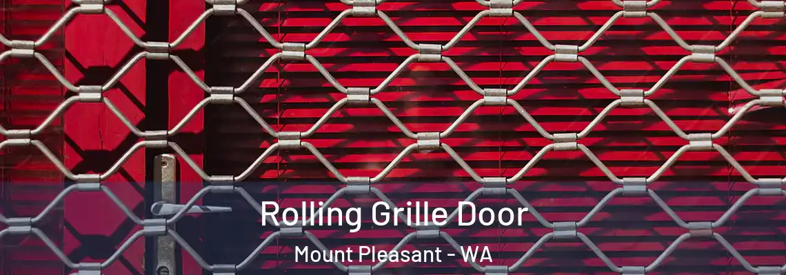 Rolling Grille Door Mount Pleasant - WA
