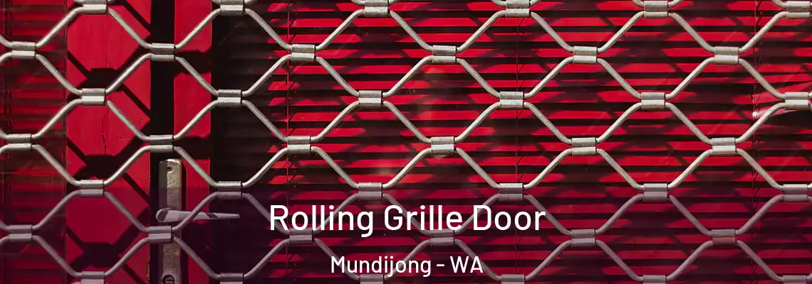  Rolling Grille Door Mundijong - WA