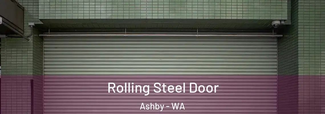  Rolling Steel Door Ashby - WA