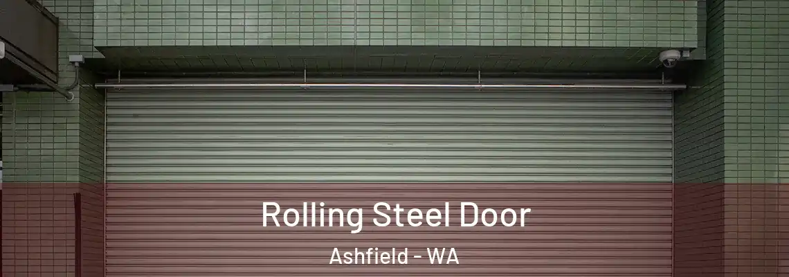  Rolling Steel Door Ashfield - WA