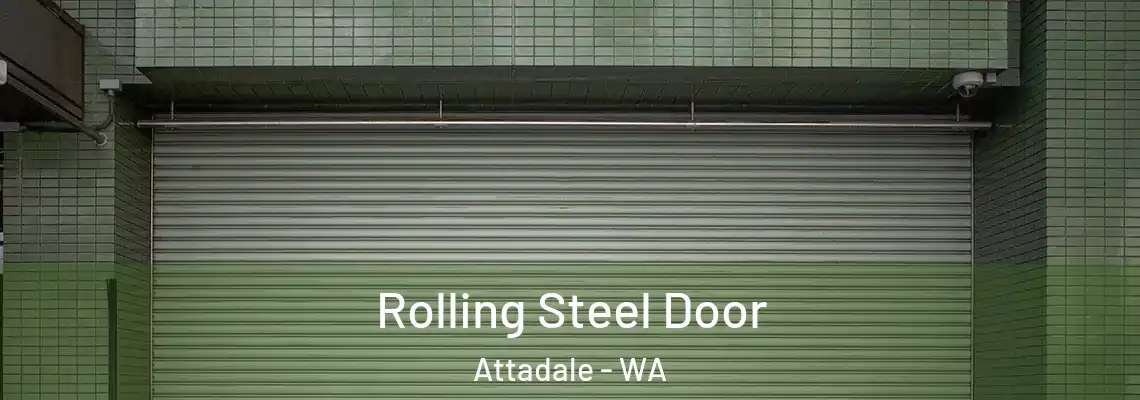  Rolling Steel Door Attadale - WA