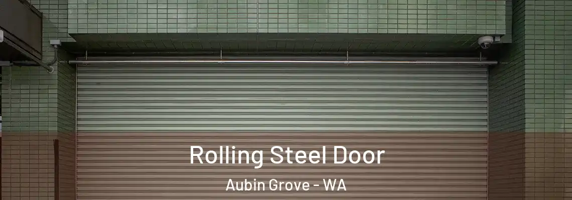  Rolling Steel Door Aubin Grove - WA
