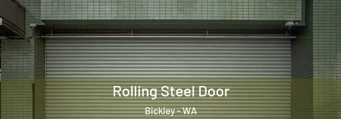  Rolling Steel Door Bickley - WA
