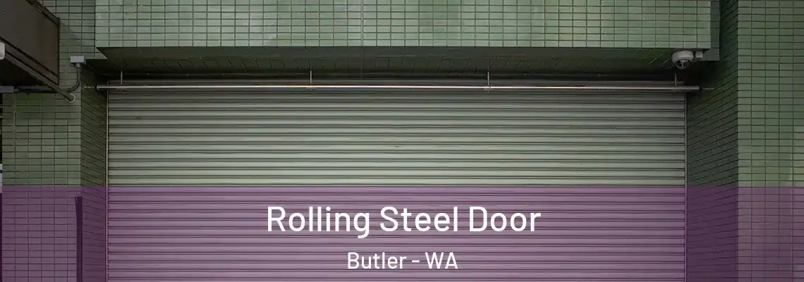  Rolling Steel Door Butler - WA