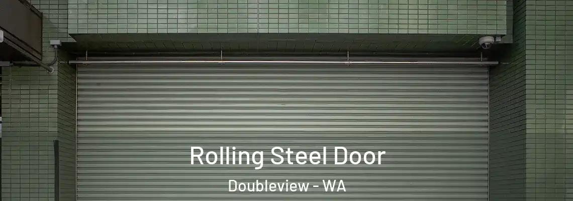 Rolling Steel Door Doubleview - WA