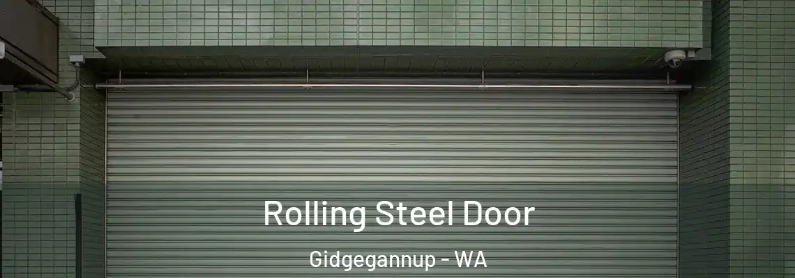  Rolling Steel Door Gidgegannup - WA