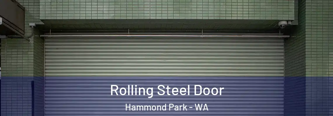  Rolling Steel Door Hammond Park - WA