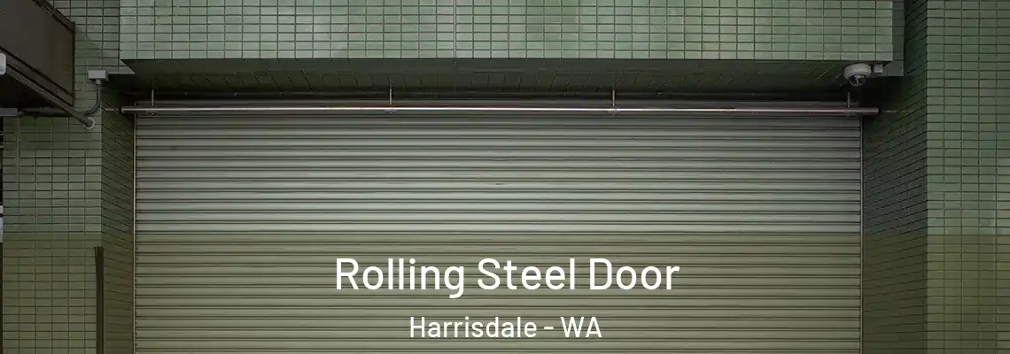  Rolling Steel Door Harrisdale - WA