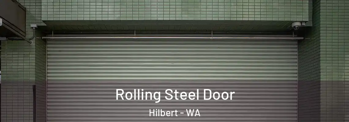  Rolling Steel Door Hilbert - WA