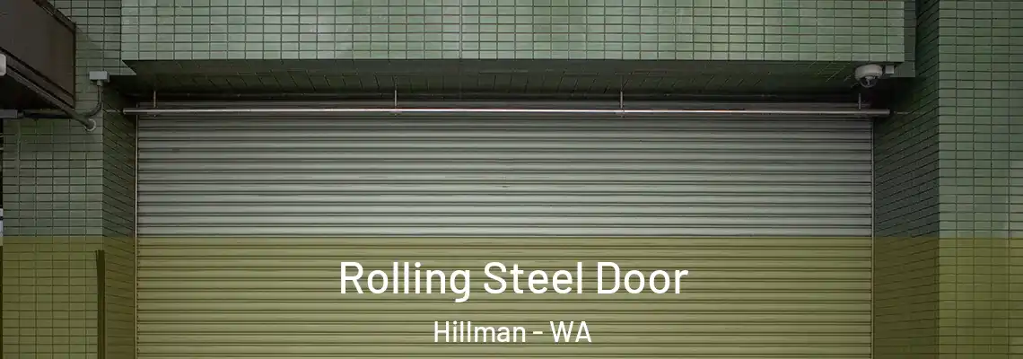  Rolling Steel Door Hillman - WA